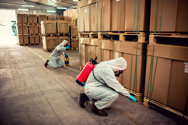 Best Pest Removal Services  in Gulf Shores, AL