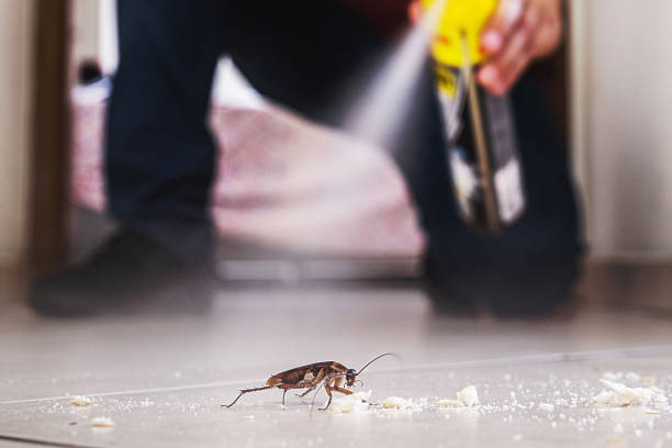 Best Pest Prevention Services  in Gulf Shores, AL